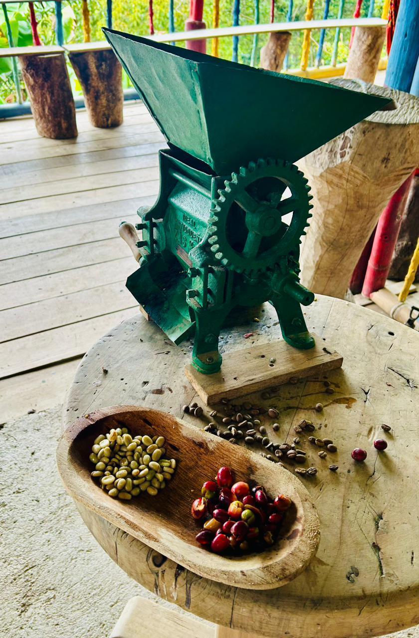 Despulpadora tradicional en la finca cafetera — foto 2