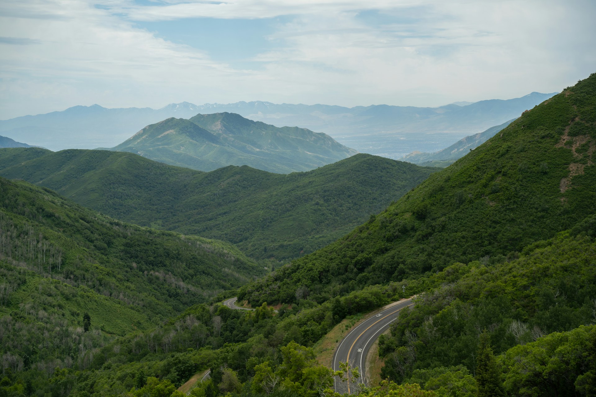 Carretera serpenteante de montaña entre bosque verde